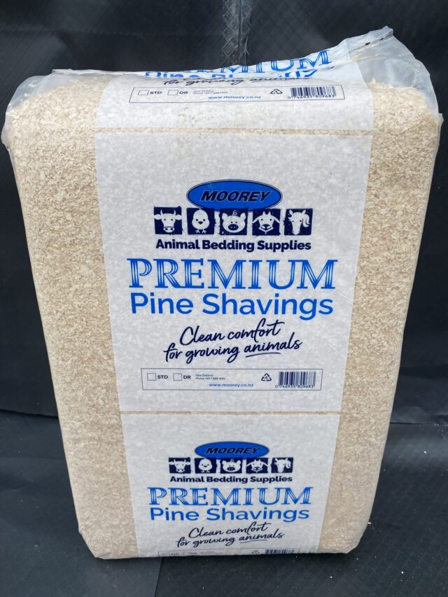 Wood Shavings